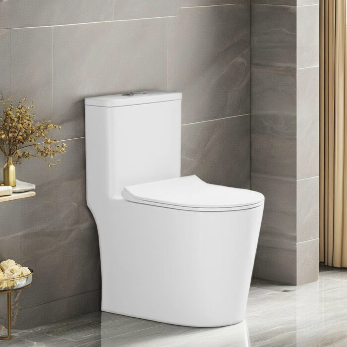 Inodoro Moderno Monobloque – Modelo #6224